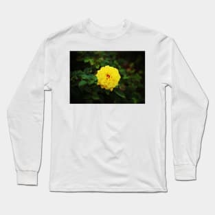 Autumn Yellow Rose Long Sleeve T-Shirt